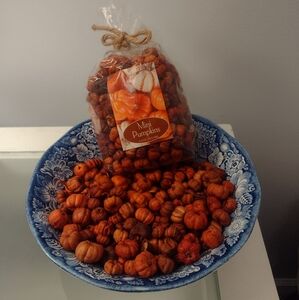 Mini Orange Putka Pods (Pumpkin Pods) for Potpourri and Bowl Fillers Decor Fall